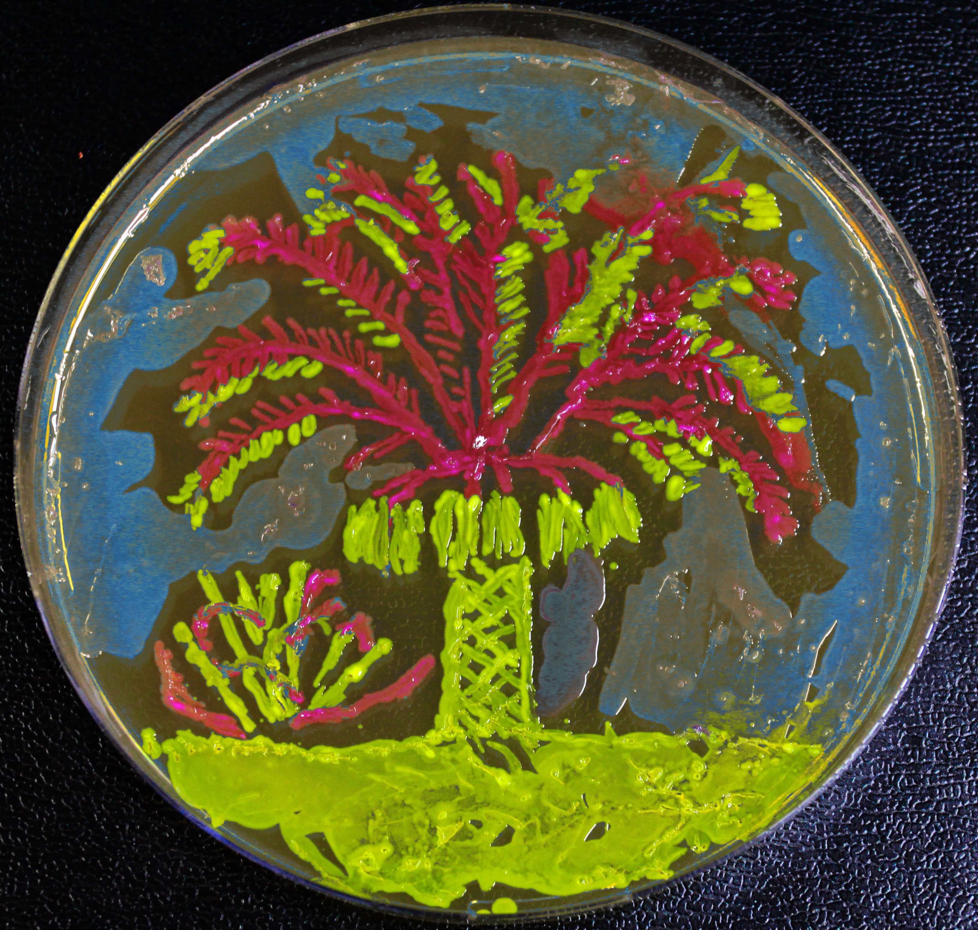 M.C. Escher was a woodcut artist, making art from trees. Here we have his work streaked with Escherichia coli in the form of his work, the Palm.