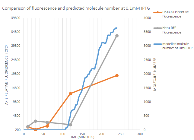 Barecillus fluorescence predictedmol number0.1mM IPTG.png