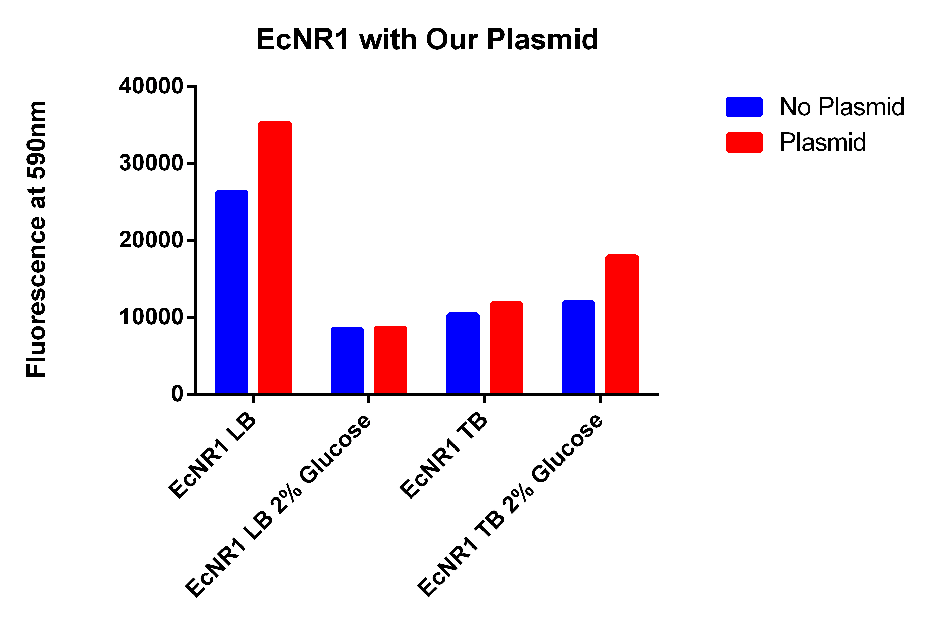EcNR1 with Our Plasmid.jpg