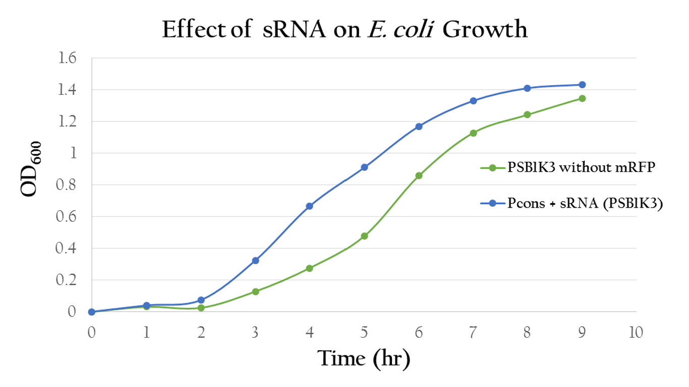 Figure 9. The growth curve of the E. Coli with sRNA shows uninterrupted growth curve that is similar to the growth curve of the E. Coli with PSB1C3