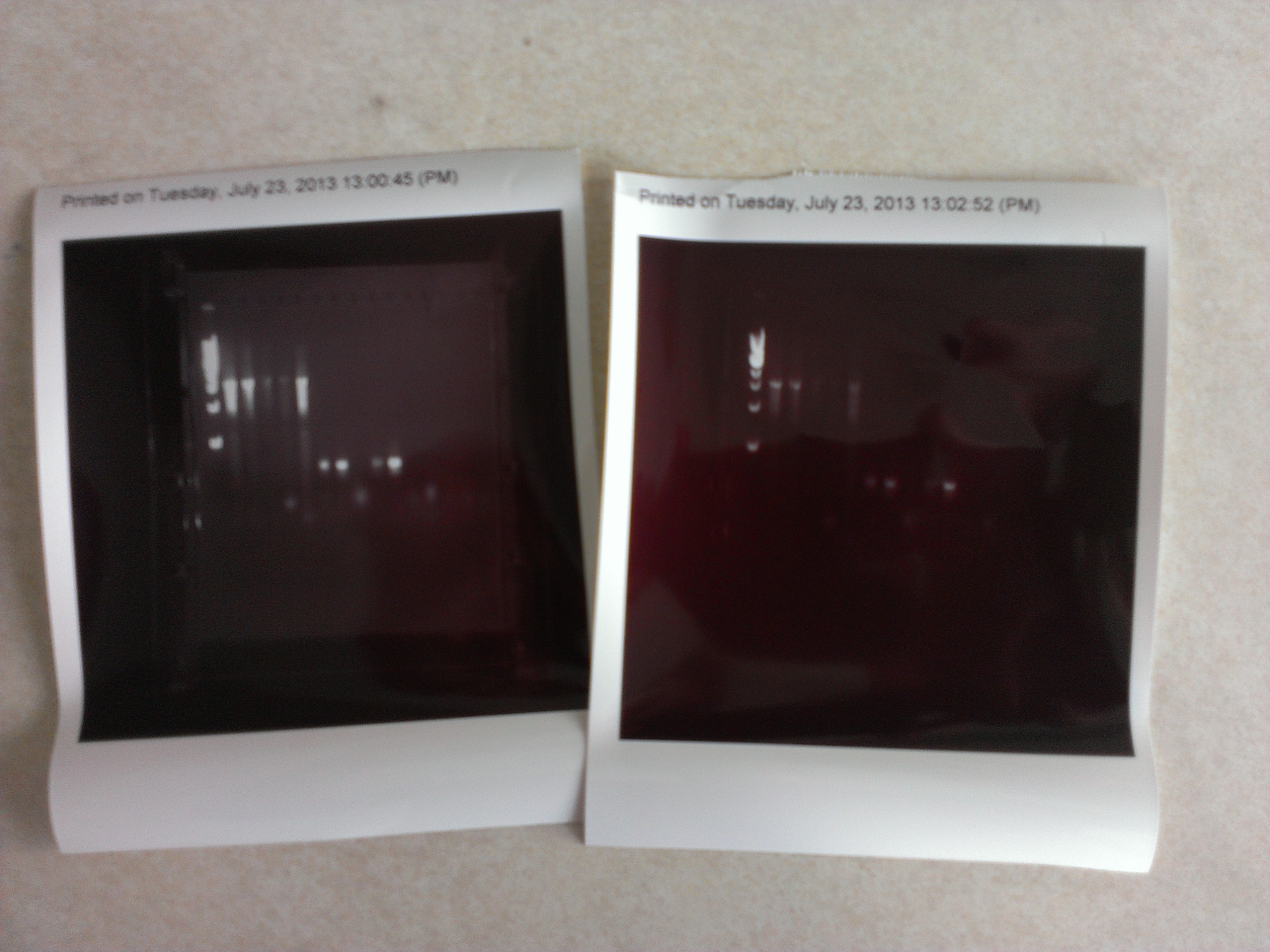 Running some gels, getting some results