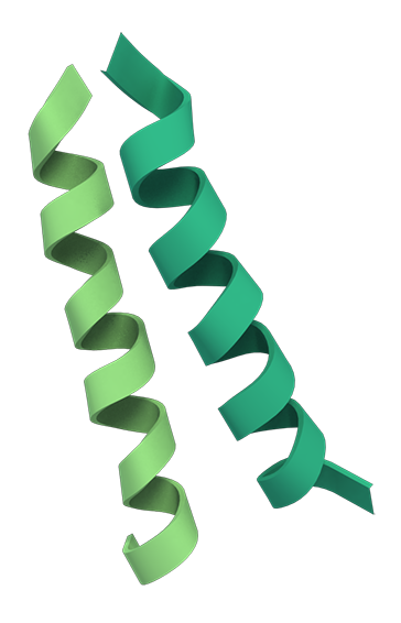 Coiled-coils