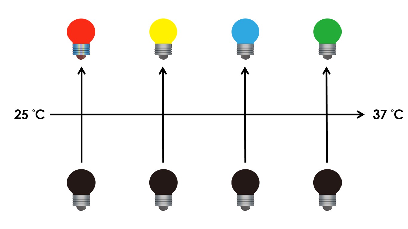 Figure 28.  Add different lights to regulate more genes.