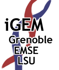 Grenoble-EMSE-LSU logo.png