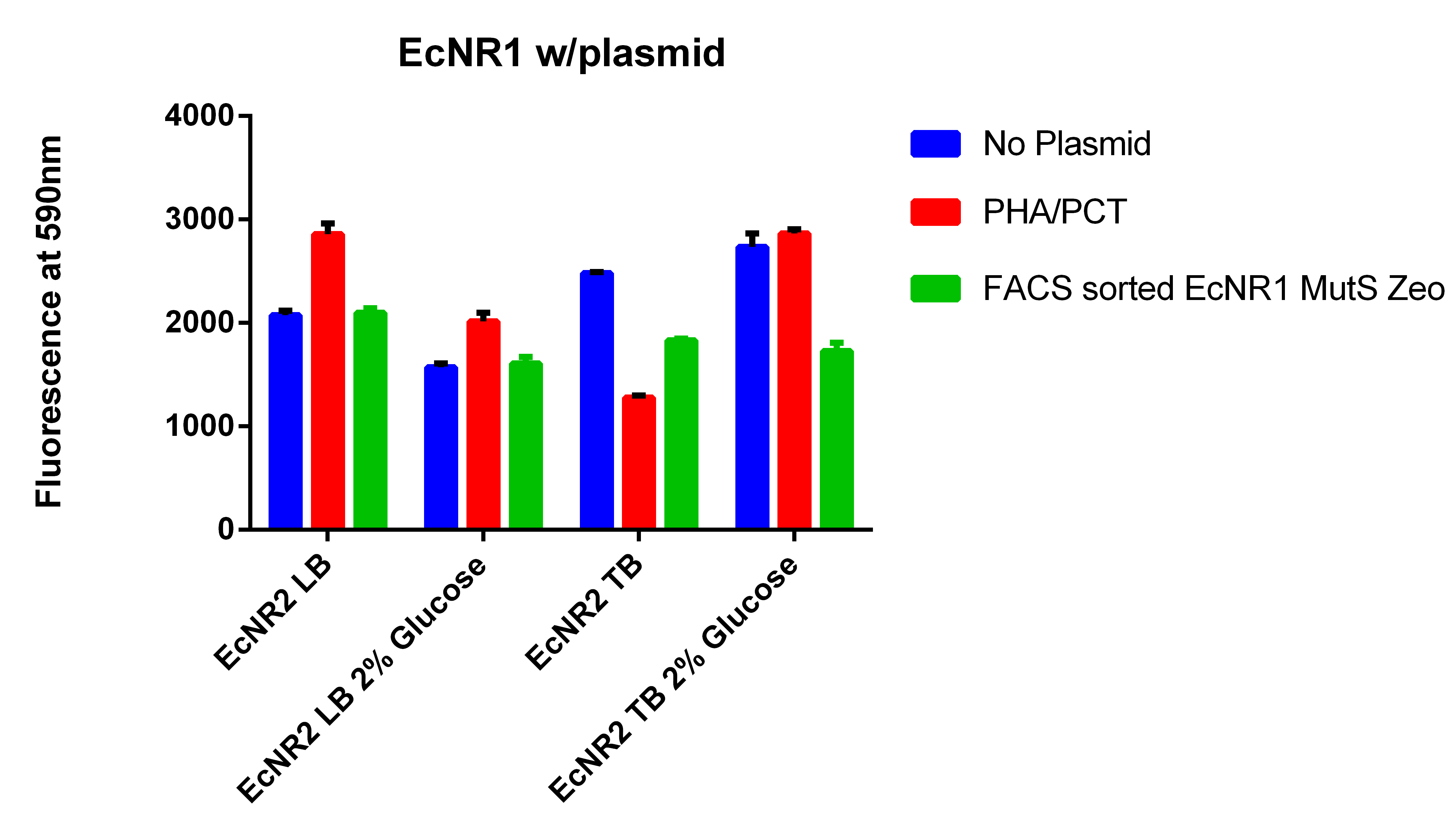 EcNR1 w plasmid.jpg