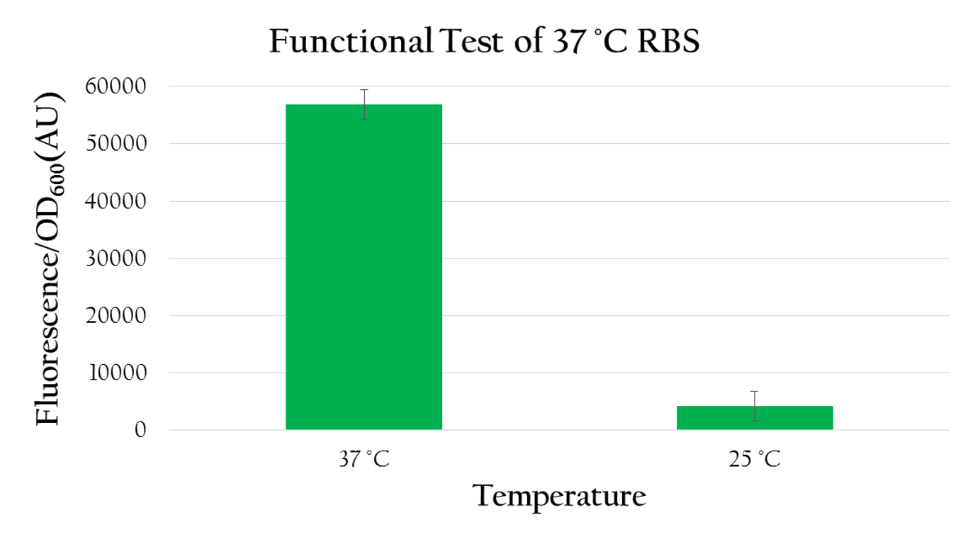 Figure 4. The normalized expression (florescence expression/ OD value) under 37°C is higher than the expression under room temperature by about 6 folds.
