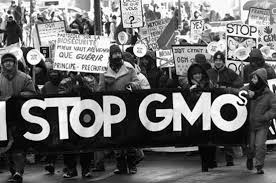 For many people, GMOs are highly controversial