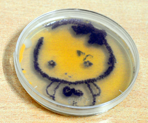 Bacteria painting