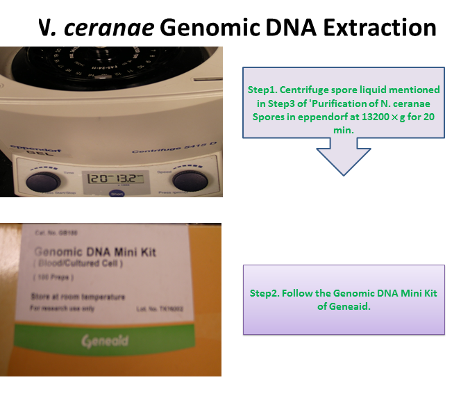 Nymu-Genomic.png