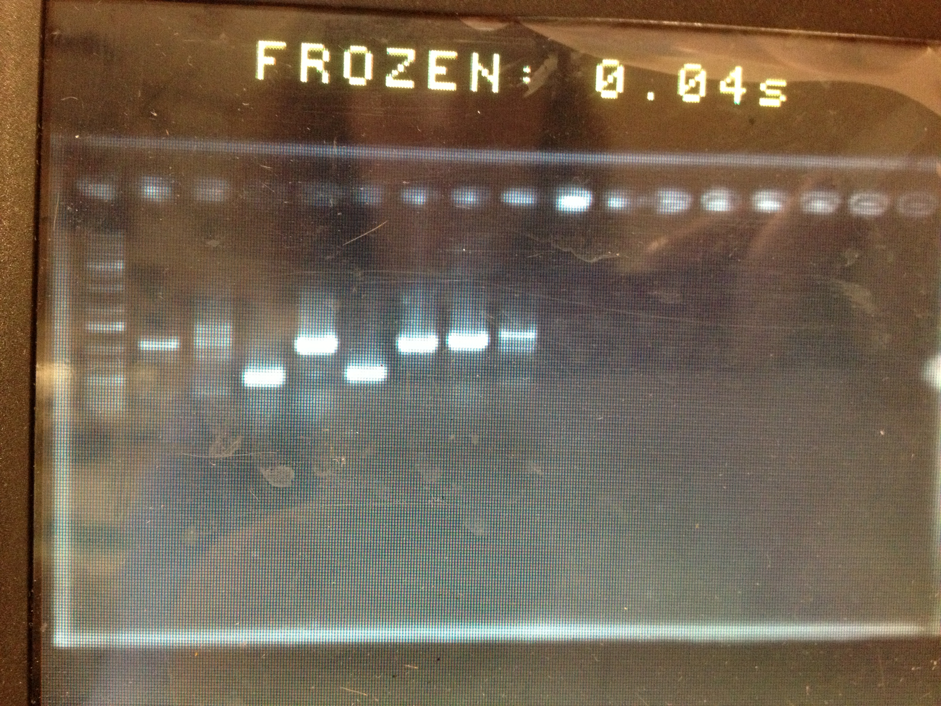 13-09-17 colony PCR pS003.JPG