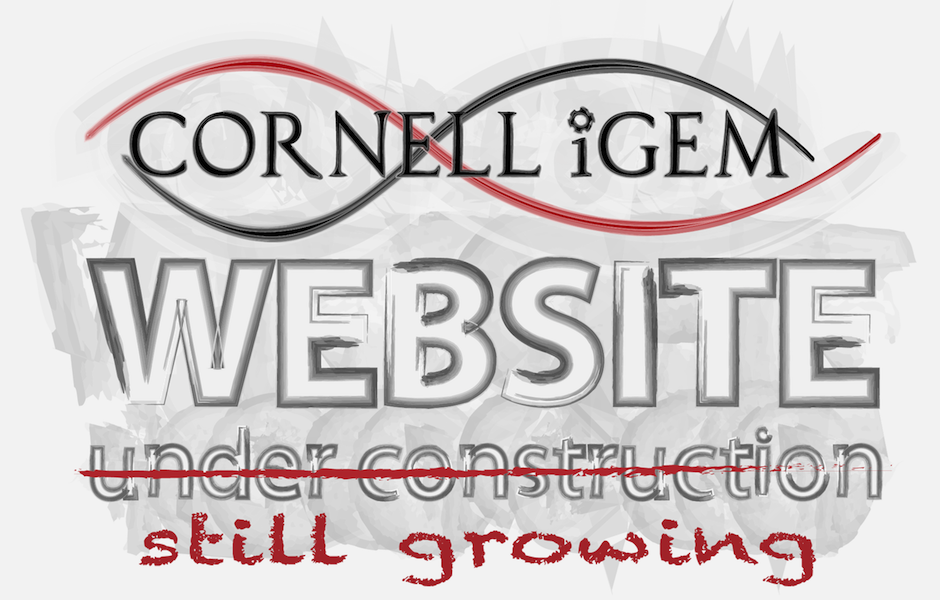 CornellStillGrowing.png