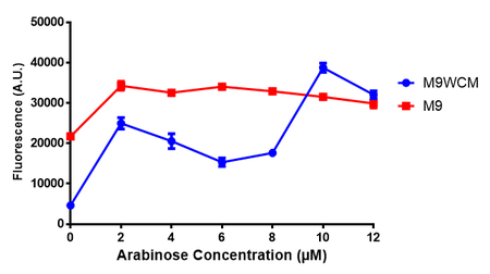 450px-F_arabinose_induction.png