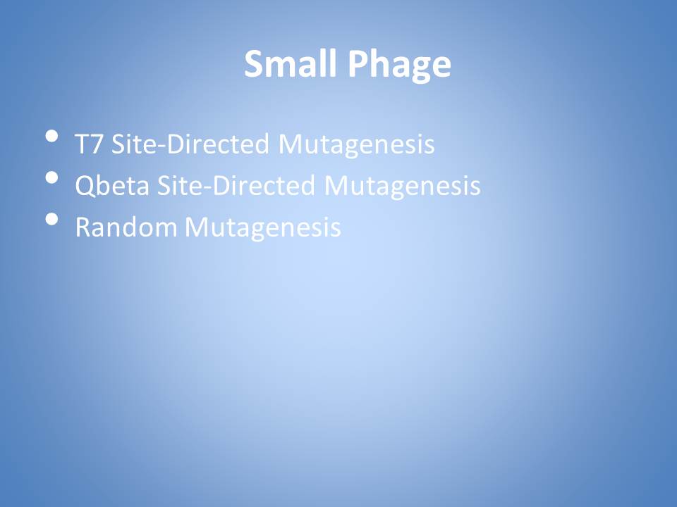 SmallPhageWinterPR1-02.jpg