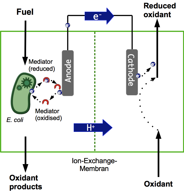 Image 1: Principle of an microbial fuel cell (MFC).