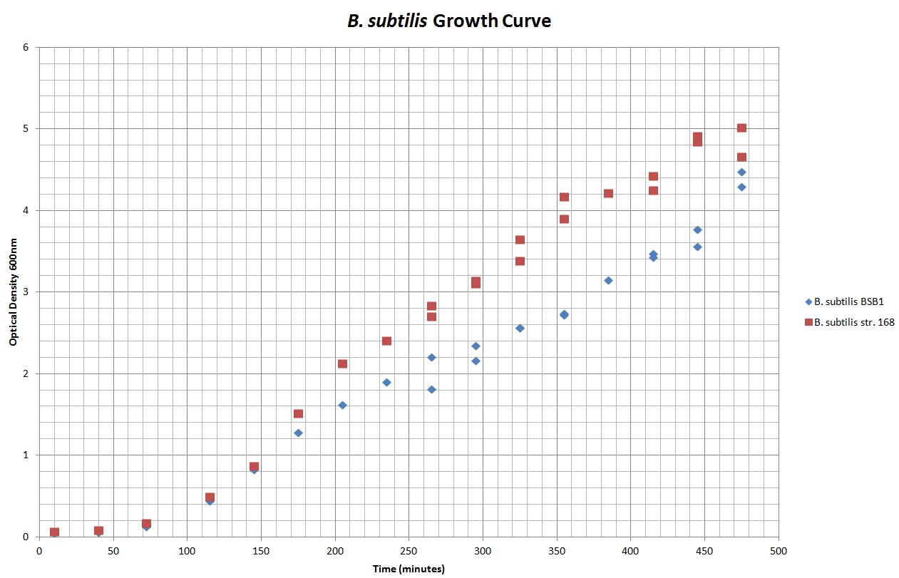 BareCillus Bacillusrod Growth curve.jpg