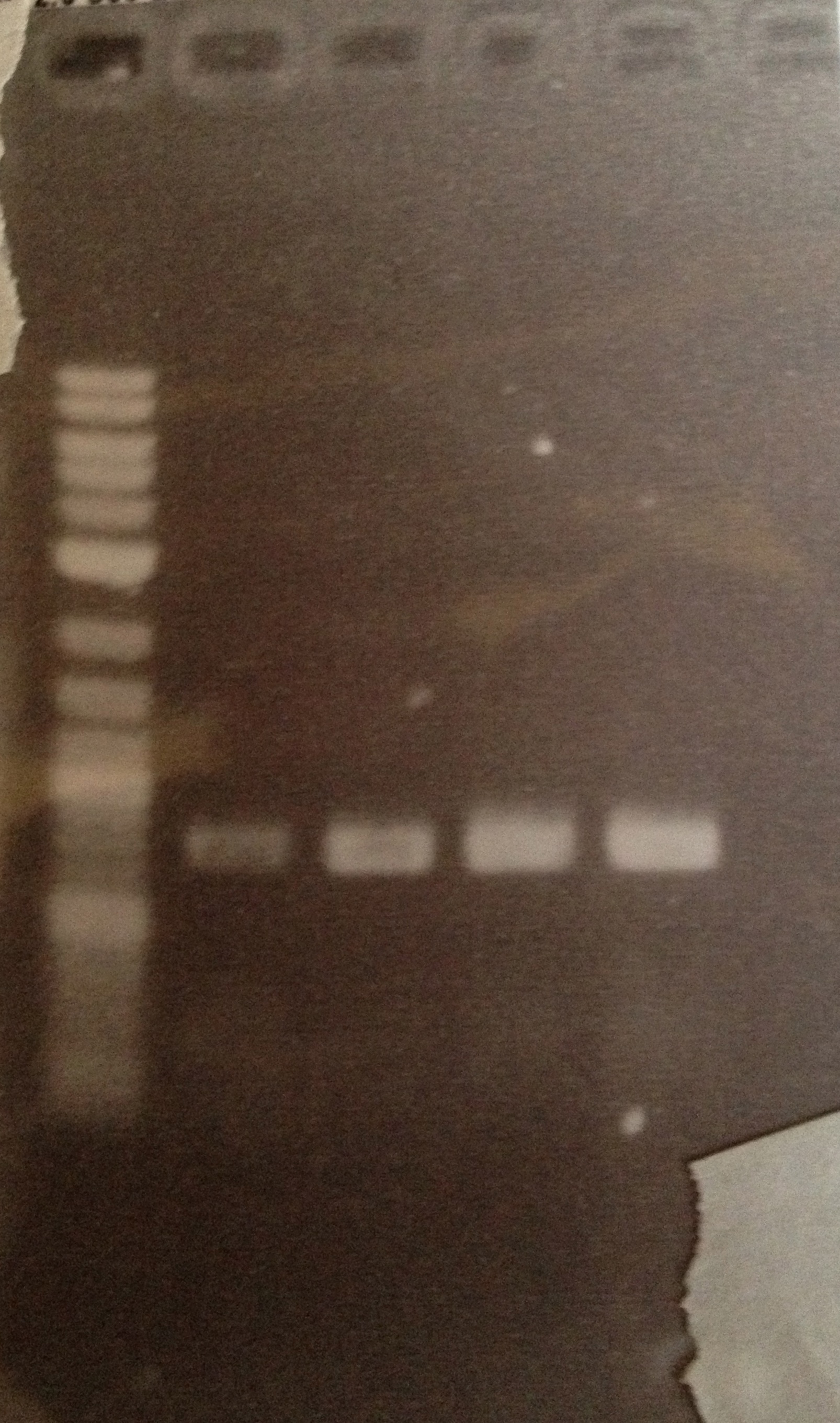 DUKE 5-27-13.PCR Z4EVp Att4.jpg