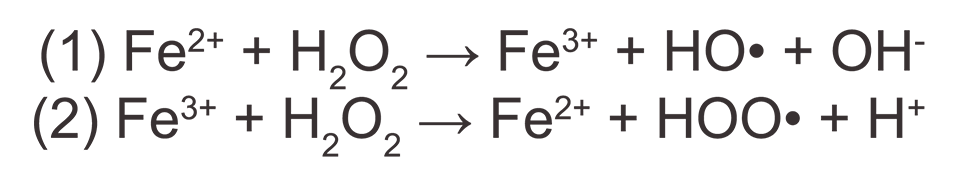 Fenton Chemistry