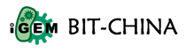 BIT-China logo.png