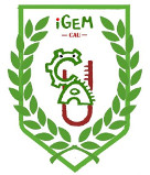 CAU china logo.jpg