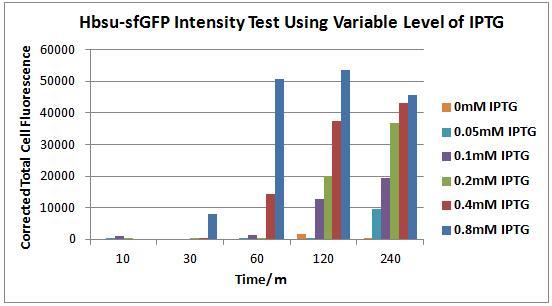 BareCillus Hbsu-sfGFP Intensity Test Using Variable Level of IPTG.jpg