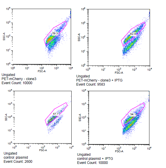 Flow cytometry data for PET-mCherry and H6 negative control Data was gated to capture the population of interest for the control and BEP3. The increase in events outside of the gate post-induction withIPTG for the control indicates cell induced death due to over-expression. Increased expression of mCherry after induction does not induce cytotoxicity.