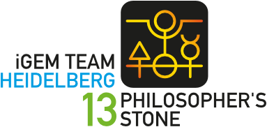 Heidelberg Team Logo Text.png