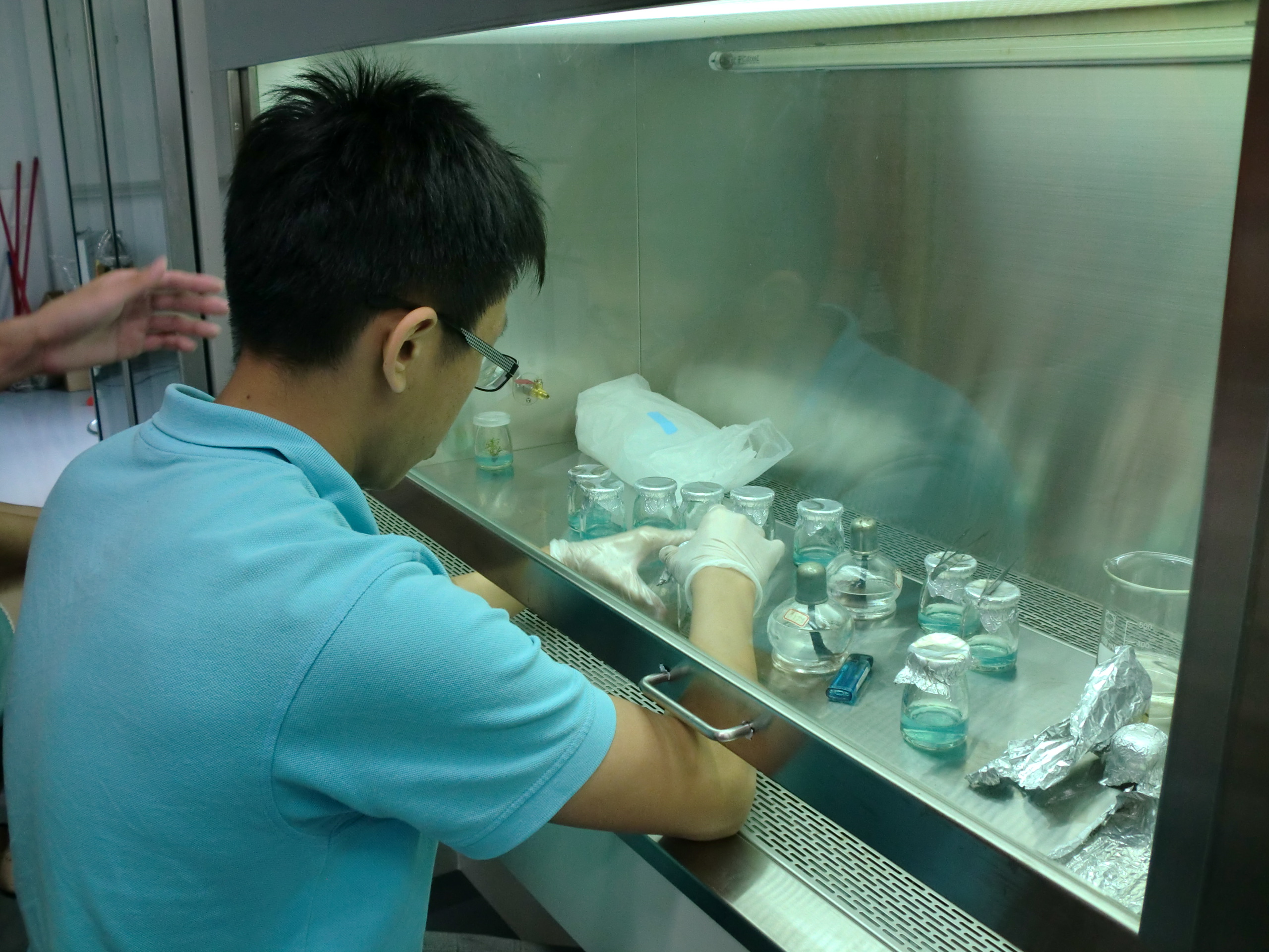 Figure 9. We taught the students how to raise tissue culture.
