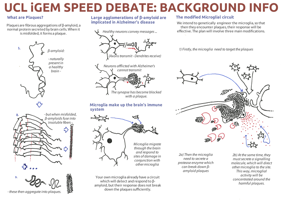 File:UCL iGEM neuroethics speed debate v5.jpg