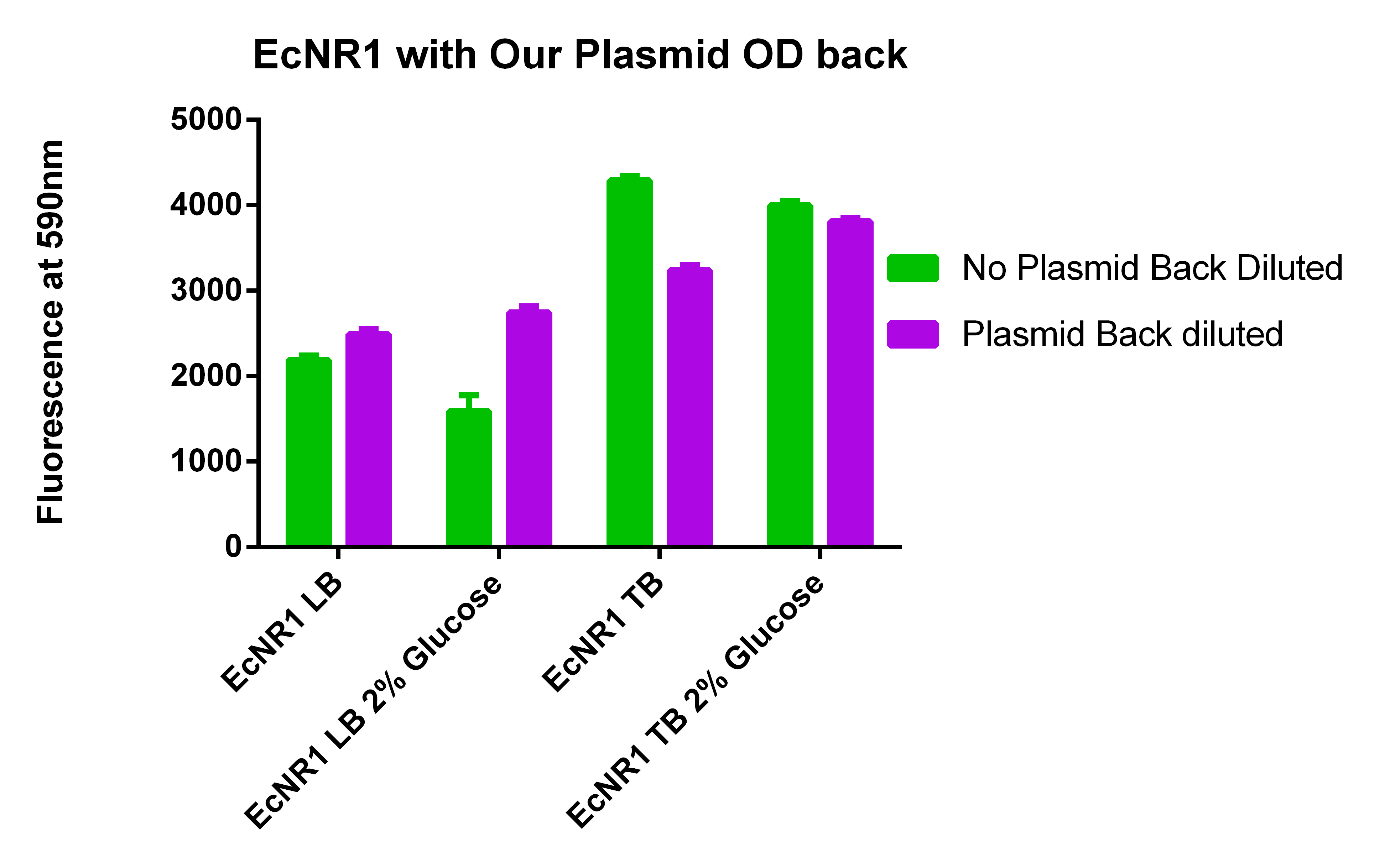 7-31 EcNR1 with Our Plasmid OD back.jpg