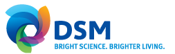 DSM logo.png
