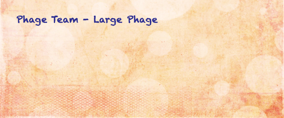 LargePhagePic-1.JPG