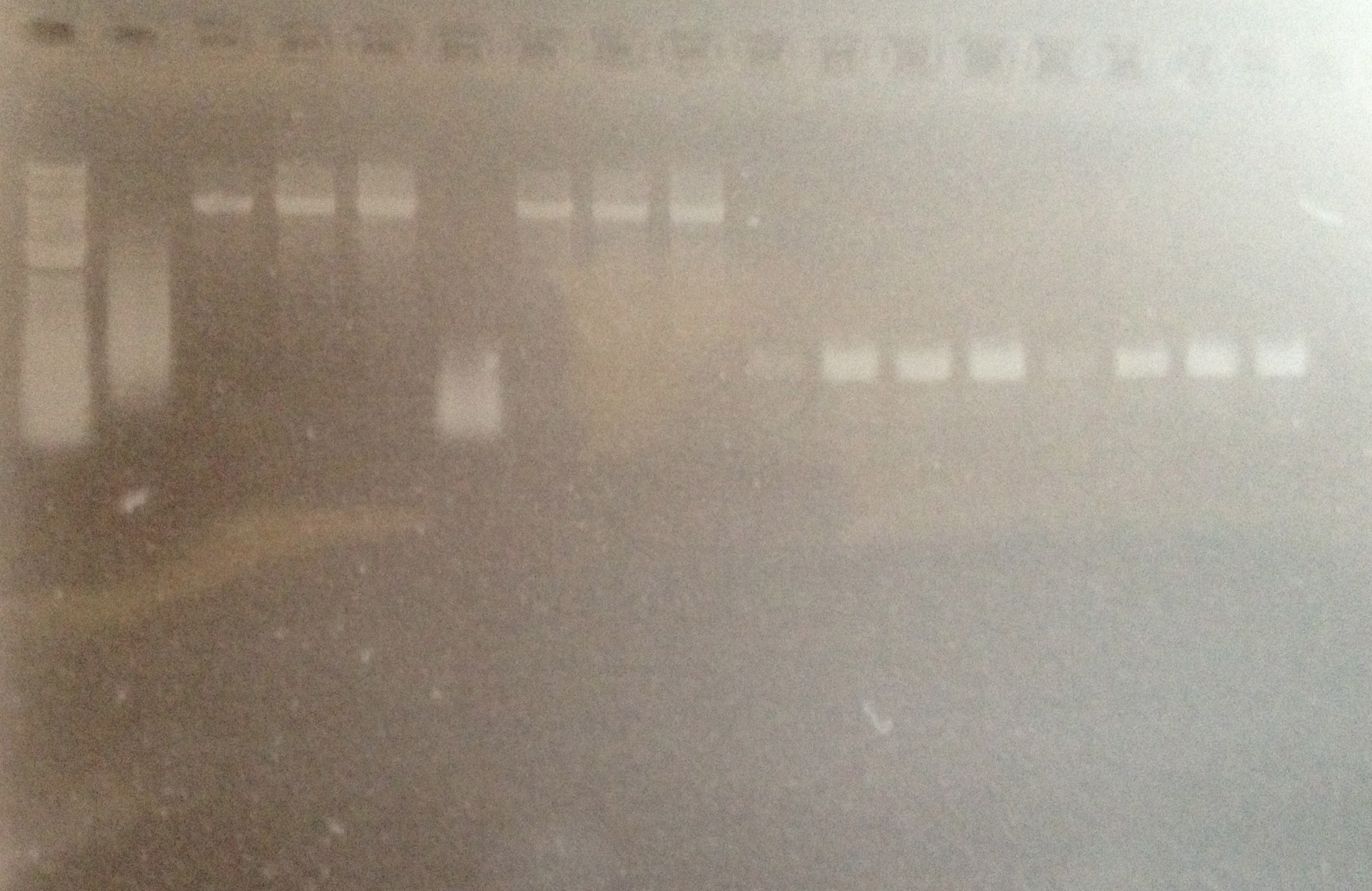 DUKE 5-30-13.PCR gRNA-Z4EV Att8.jpg