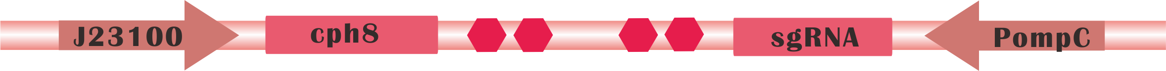 Fig.3 Final version of Red sensing system