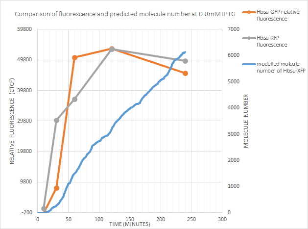 Barecillus fluorescence predictedmol number0.8mM IPTG.png