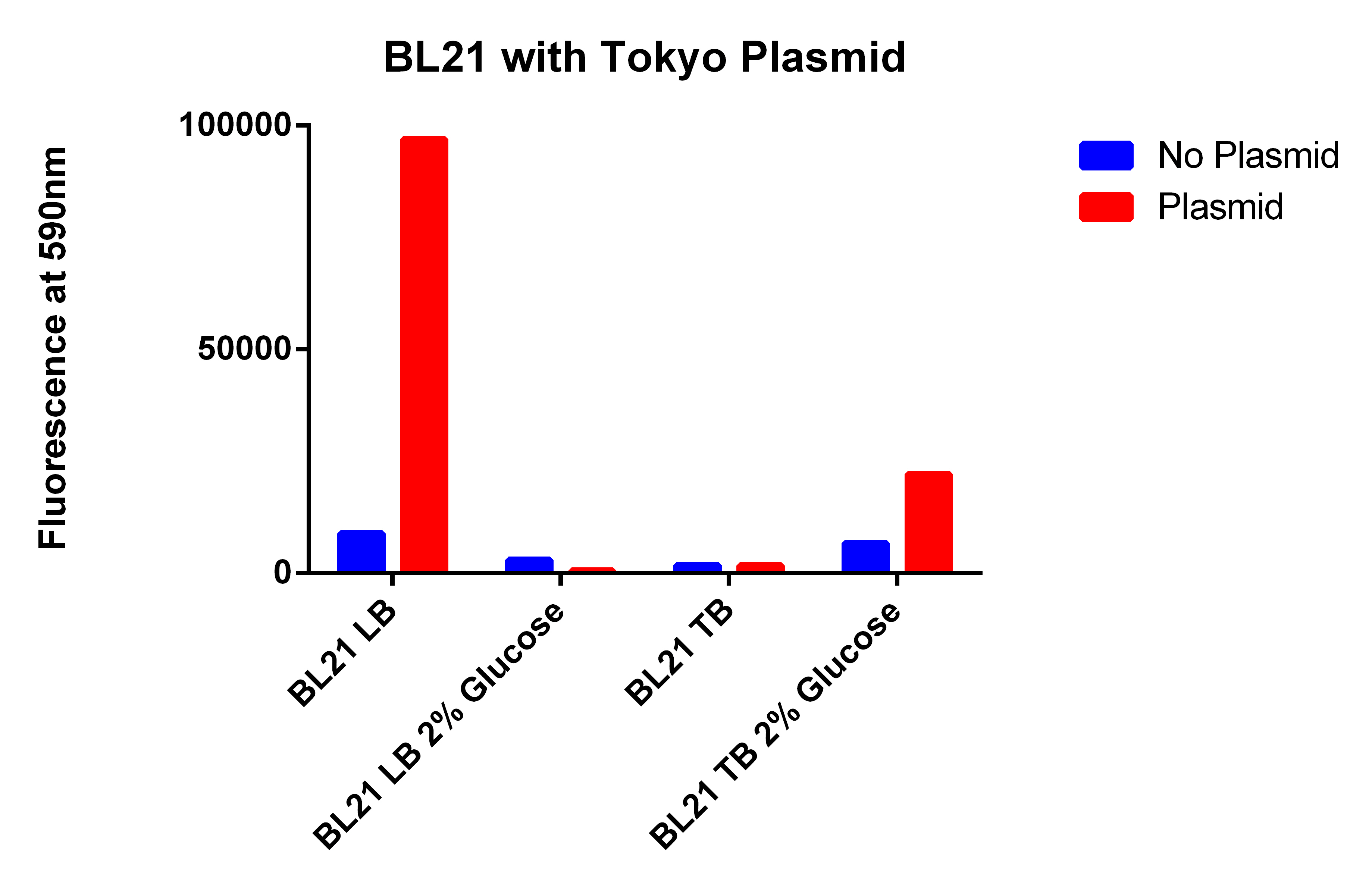 BL21 with Tokyo Plasmid.jpg