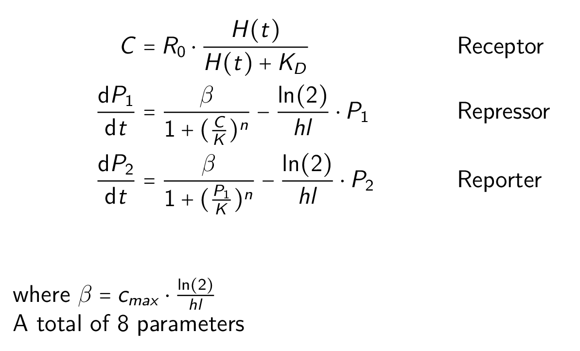 model equations