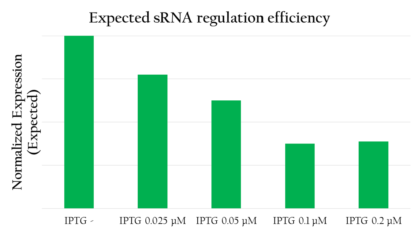 Fig 6. sRNA regulation