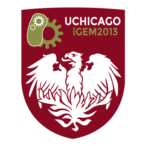 UChicago logo.png