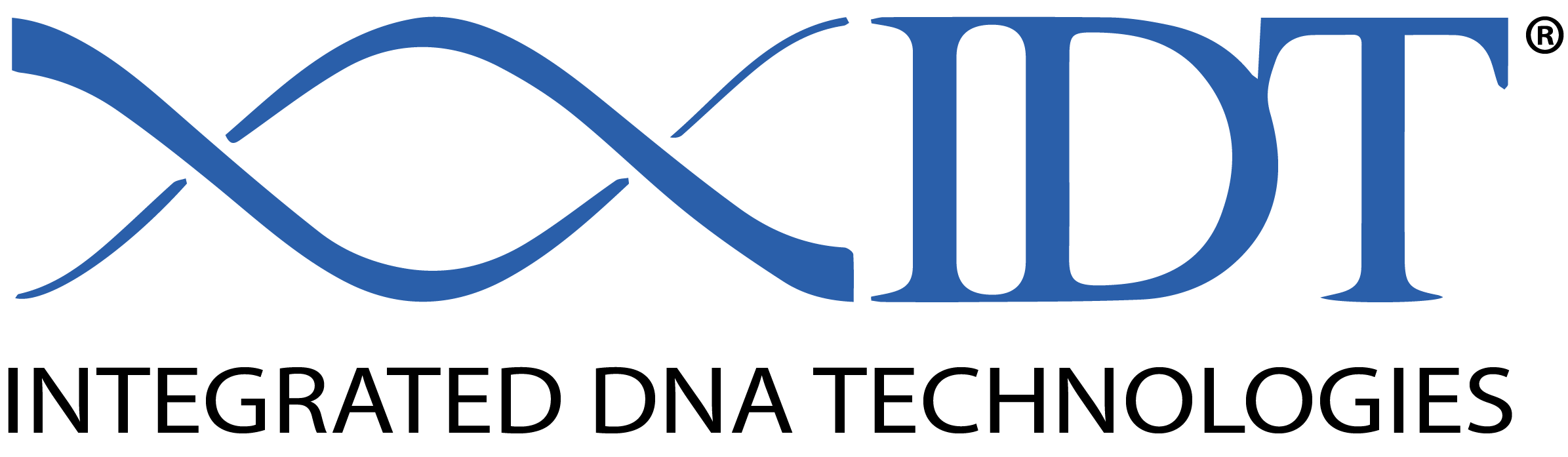 BIT-China IDT logo trans.png