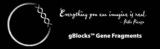 GBlocks banner.jpg