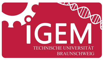 Braunschweig logo.png